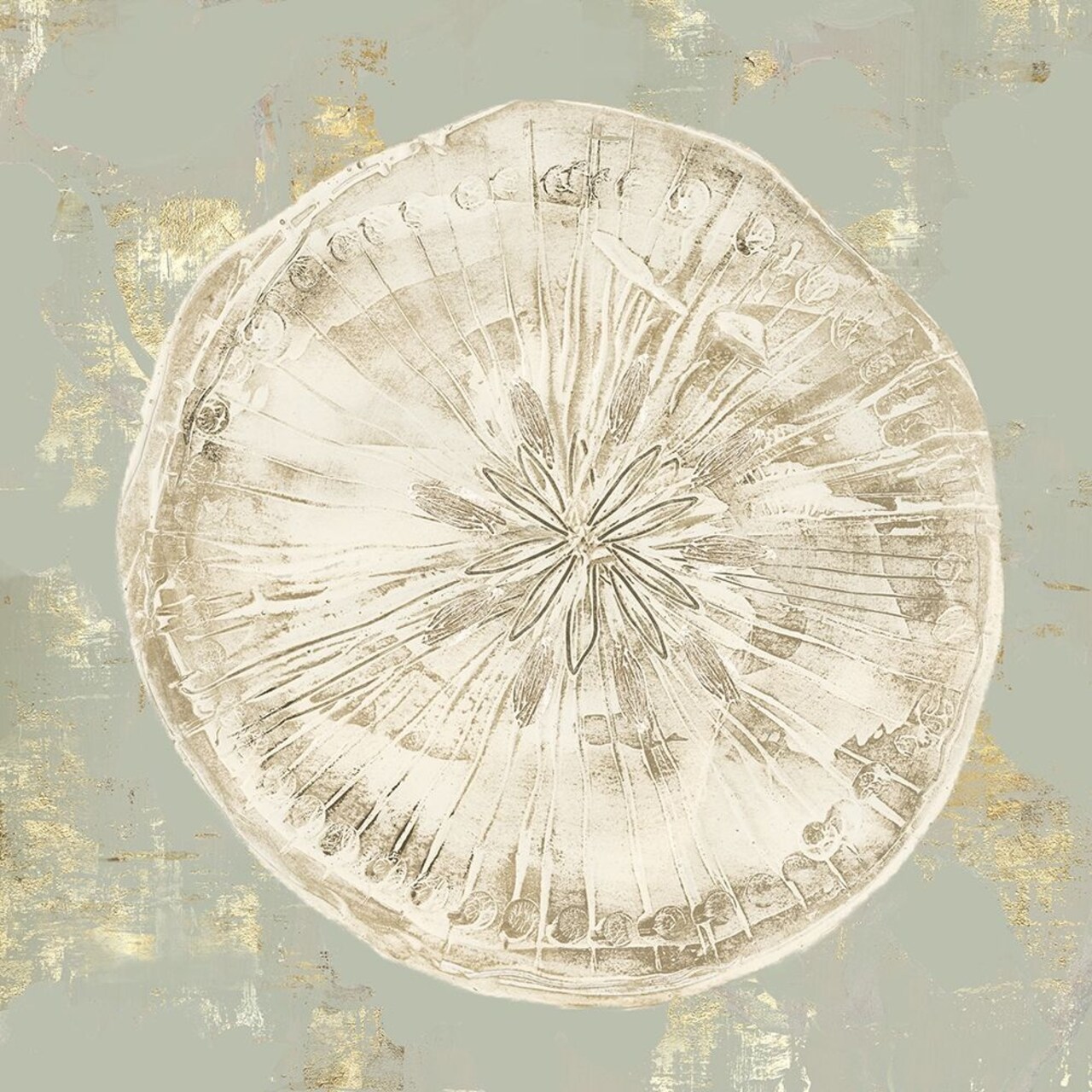 Cone Shells II Poster Print by Aimee Wilson - Item # VARPDXWL210A